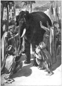 Elephant Parable – RTB Geoscience